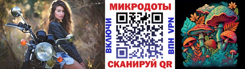 ссылка на мегу ссылка  Нюрба  Псилоцибиновые грибы GOLDEN TEACHER 